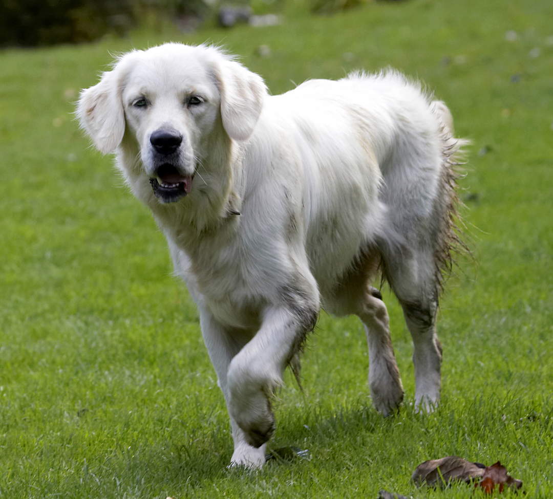 Well, I've got myself mucky.  What shall I do now?