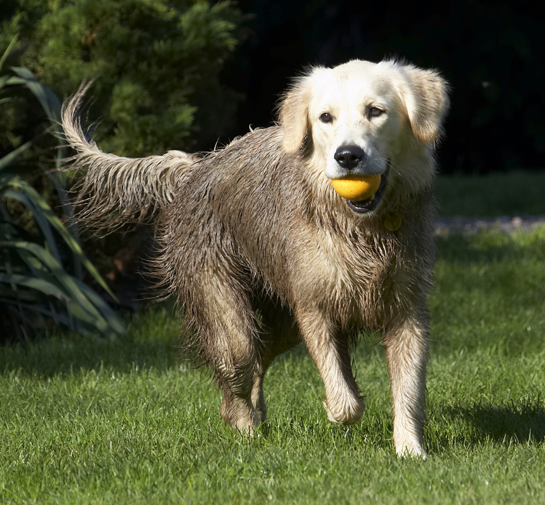 I'm thinking of returning the ball