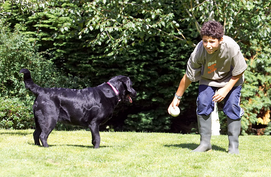 C'mon Ross, don't tease me