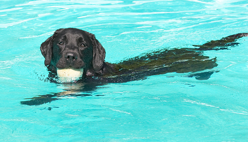 Now I'm in control of the ball