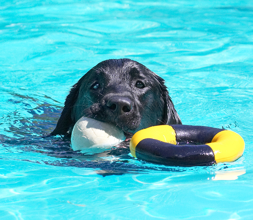 What can I say; I'm just a water baby