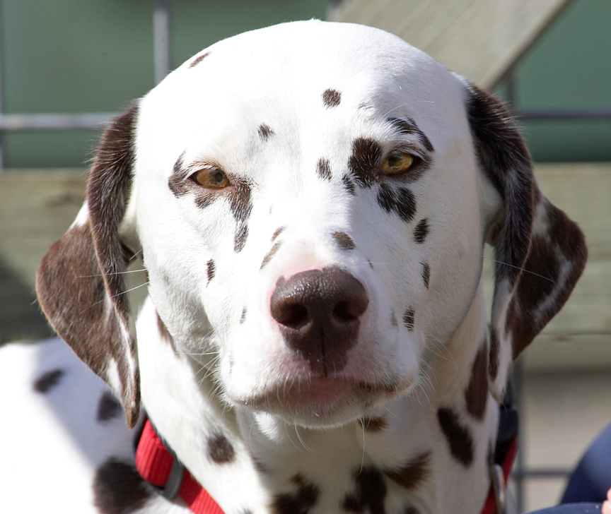 No, I am not moving from here