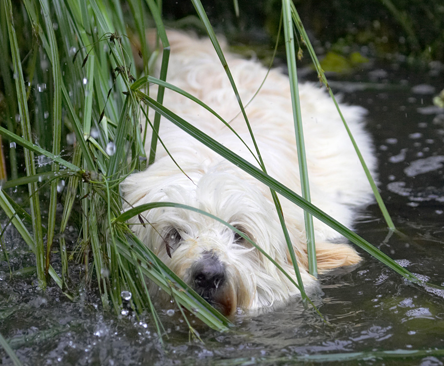 I've quietly slipped in.  Are they watching?