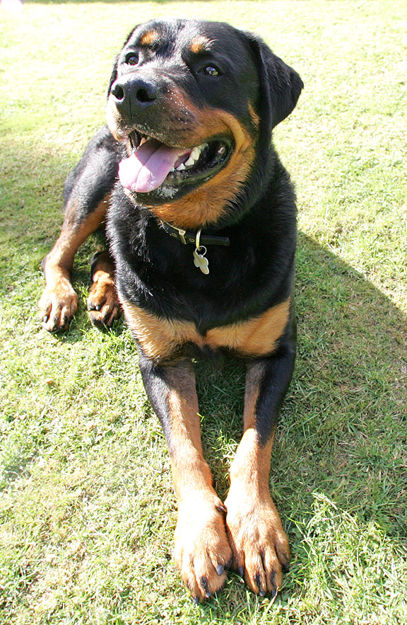 Ronan Relaxing