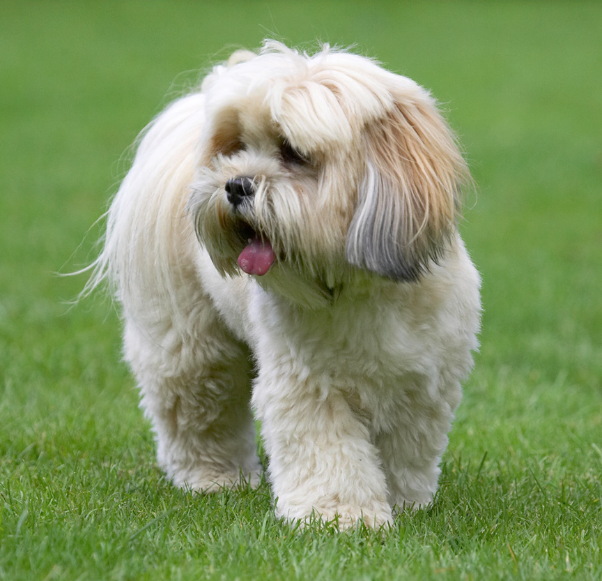 Hey, look at this place