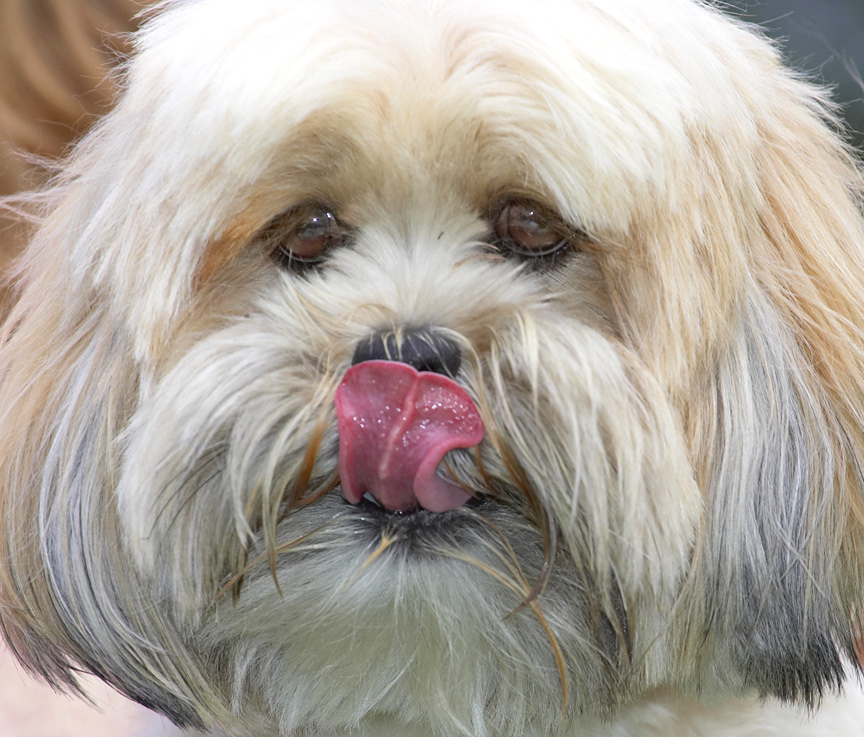 I'm still working on it