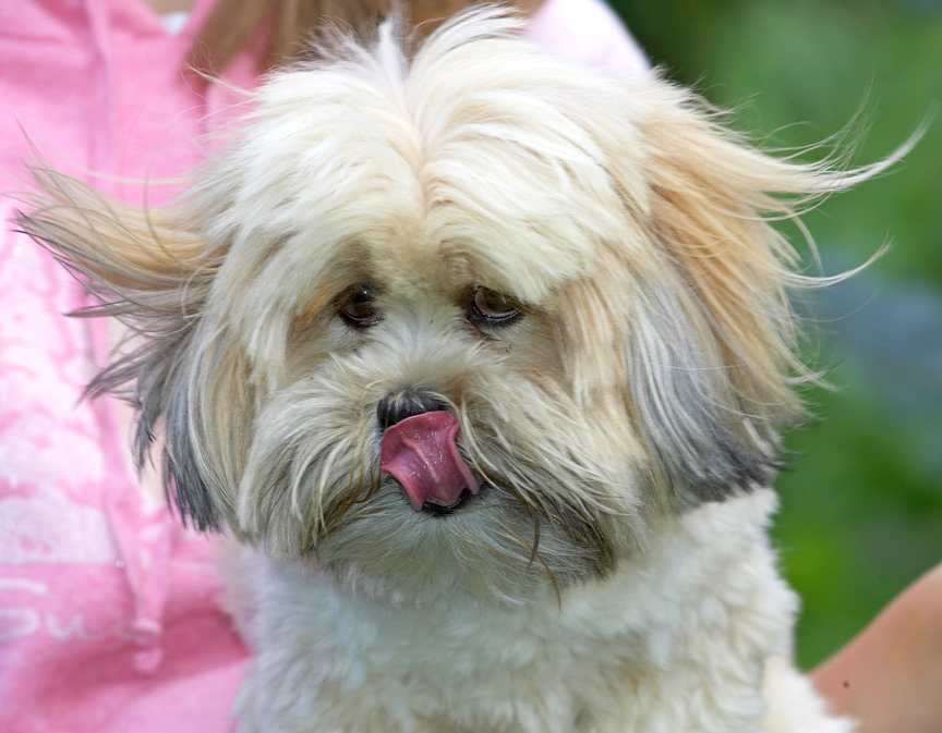Look at my new hairdo