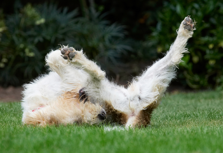 Oooh, I've got an itch just there