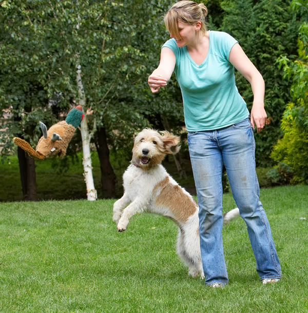 Oh no, there it goes