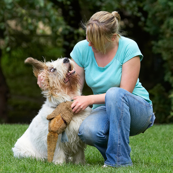 Alfie, Bassett, Cuddle, Cuddles, Dog, Dogs, Grand, Hound, Hounds, Kate, Pheasant, Play, Playing, Playtime, Vendeen, Woman