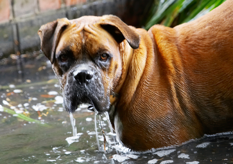 Hey, I was thirsty