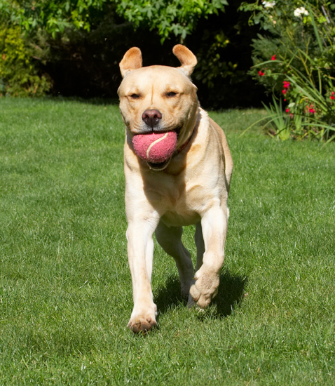 I'm coming in for another throw