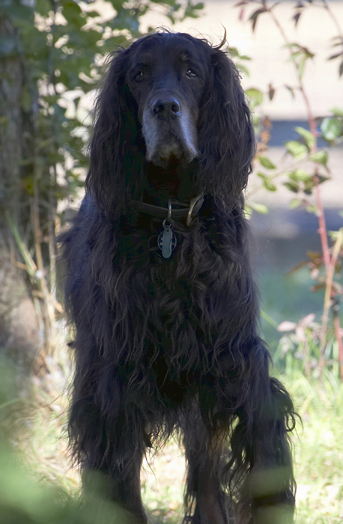 Hey, I'm still standing