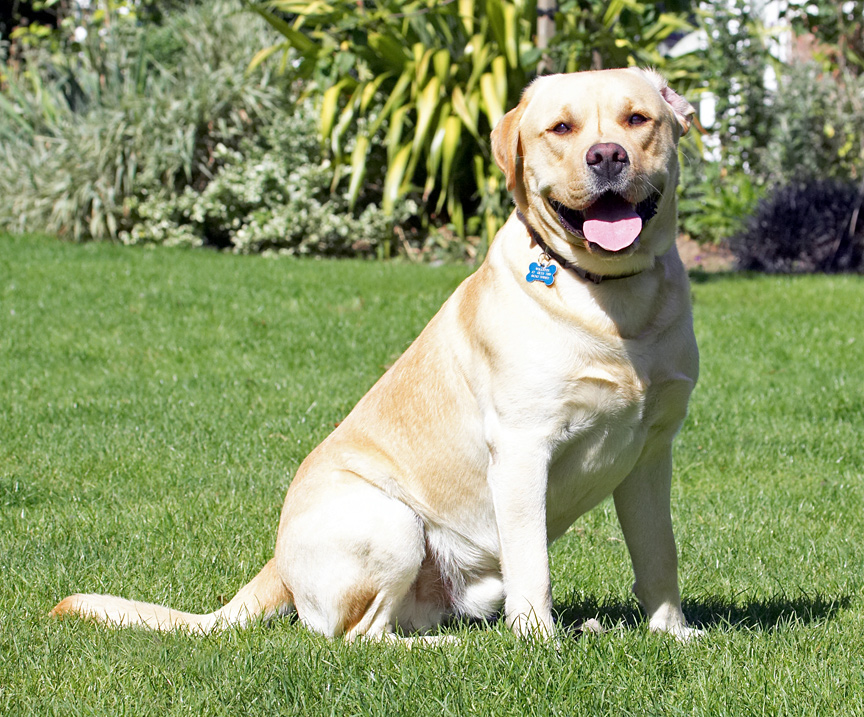 I am SO pleased with myself