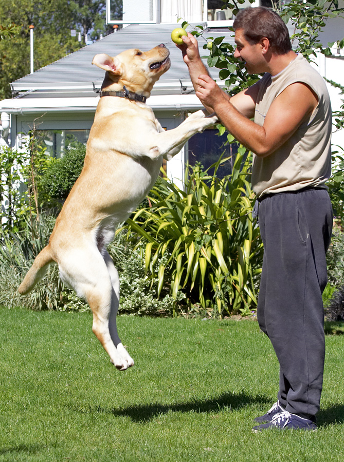 Hey, that apple's for me