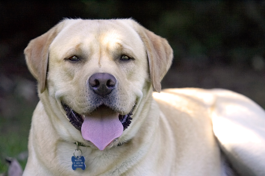 Hey, I can chill out