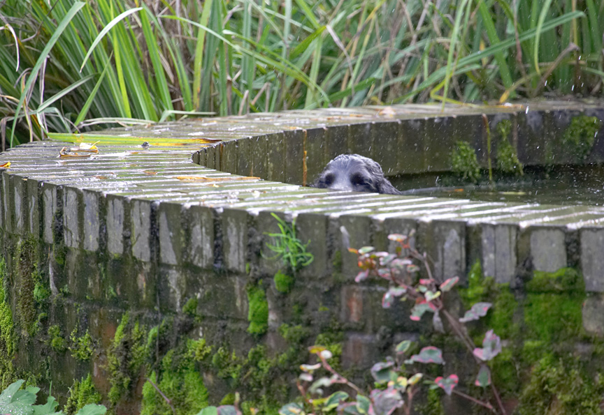 Should I be in here?