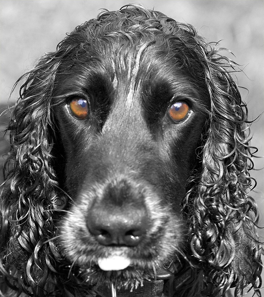 I'm concentrating, OK!