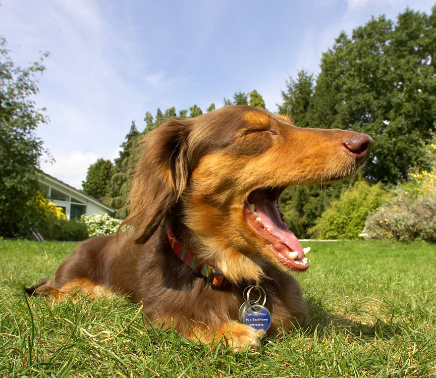 Ooooh, this is sooooo tiring