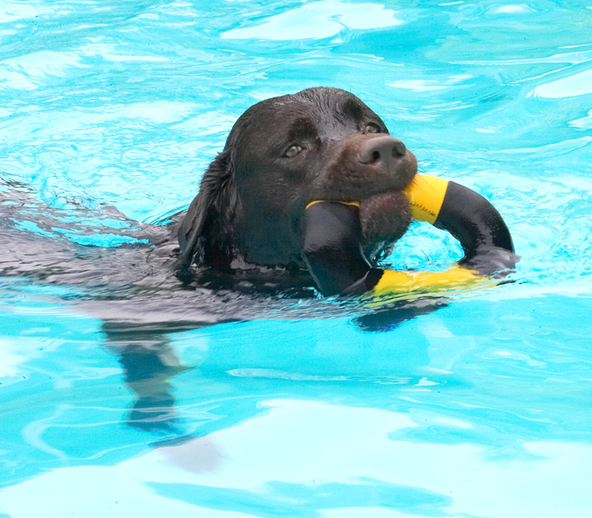 Another retrieval