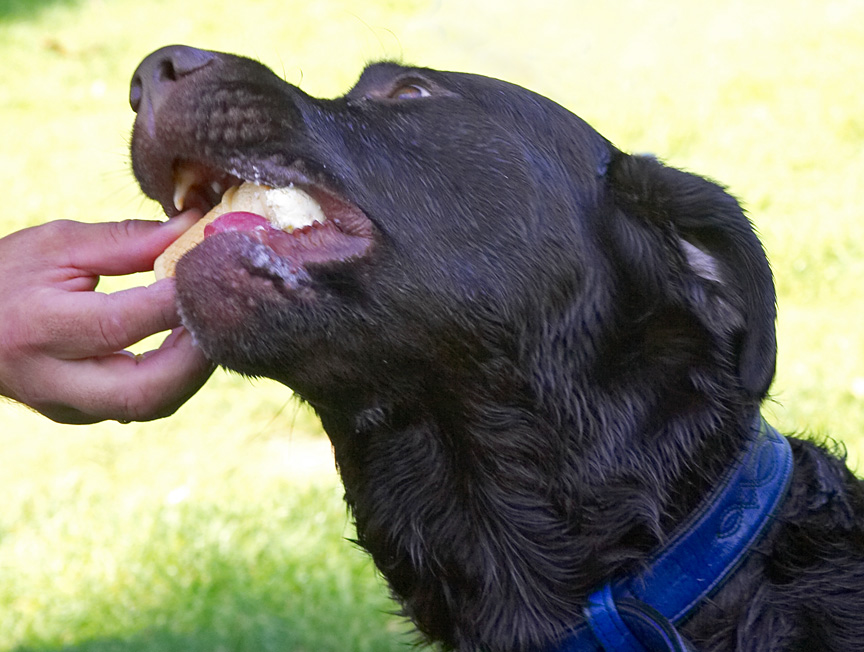 What every boy needs after a swim - an ice cream