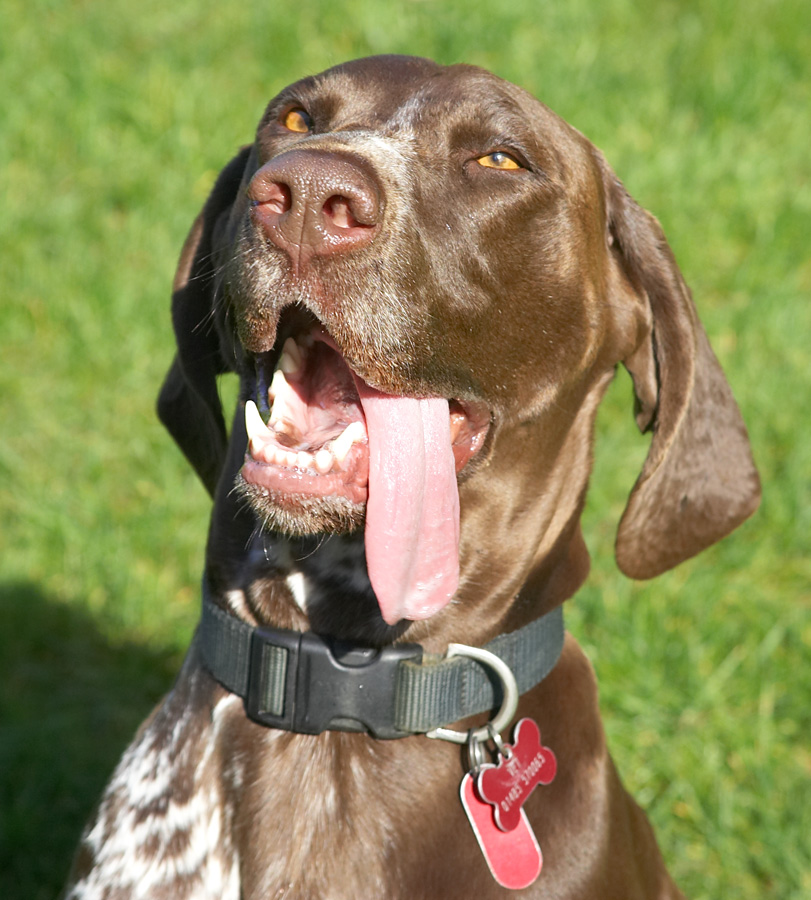 OK, you got my attention