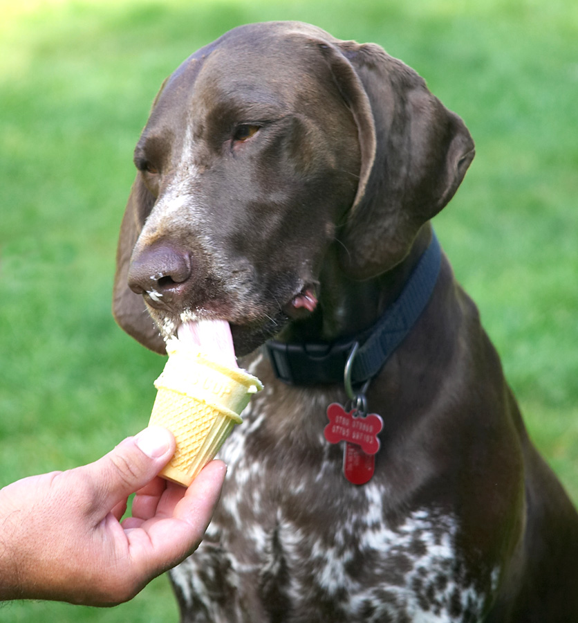 Yum, yum, yum