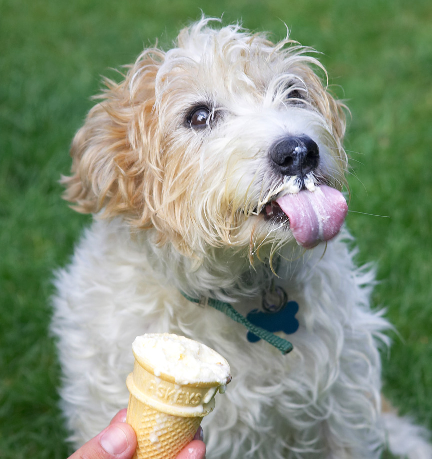 Yep, this is yummy