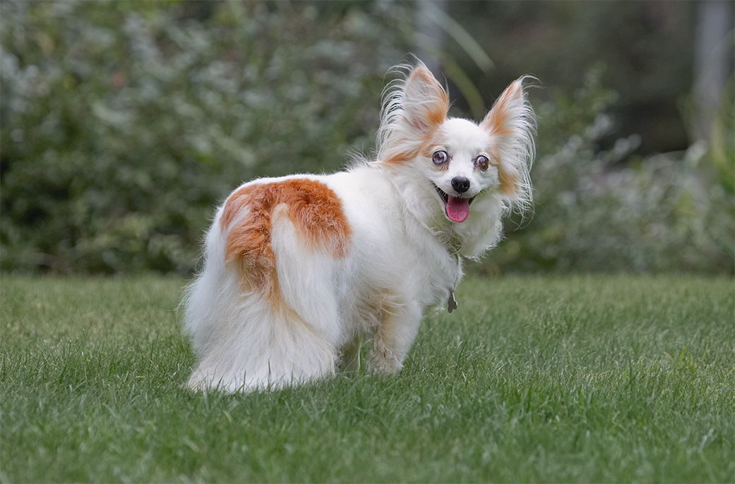 ............. don't I!