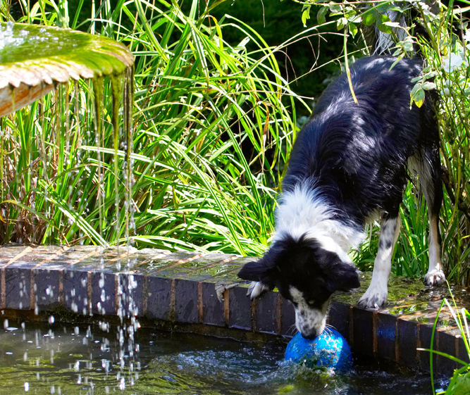 What a retrieval!!