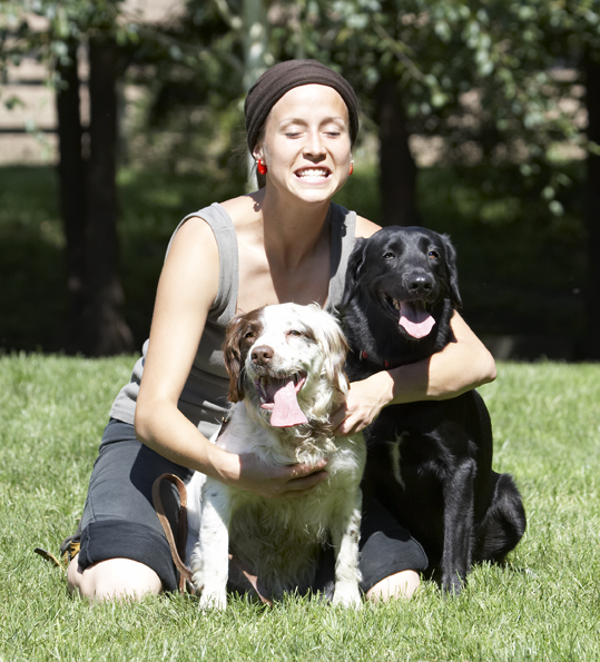 Dog, Dogs, Jodie, Labrador, Lucy, Petra, Springer Spaniel, Tongue