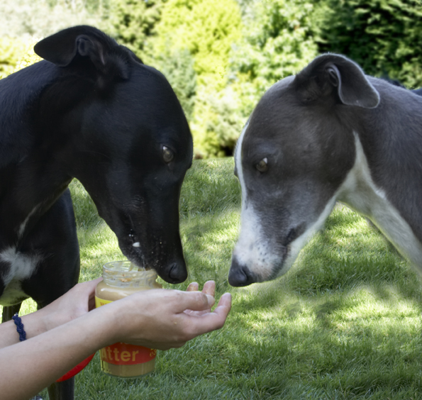 How come he gets the jar and I get a finger?