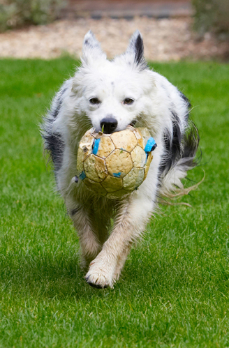 This just keeps me so busy