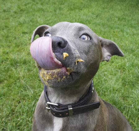 Wow, is that mine?!