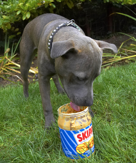 Oh, goody, got the jar to myself