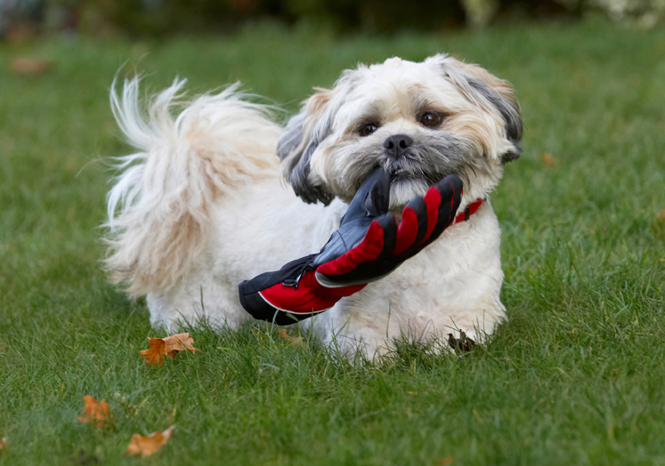 Yep, it's pretty big isn't it