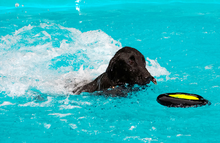 Another great dive