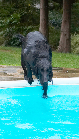 Can I get it from here?