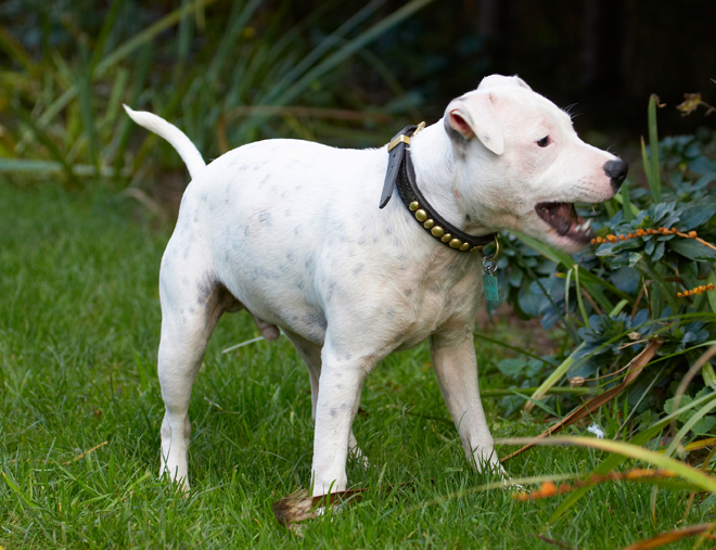 This looks good enough to eat