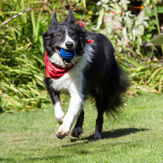 Oh, OK, I'll bring it back