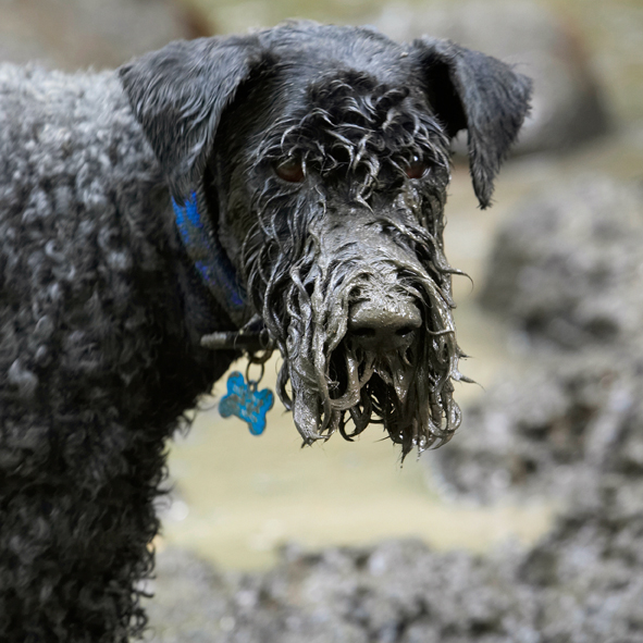 Isn't this a great mudpack!