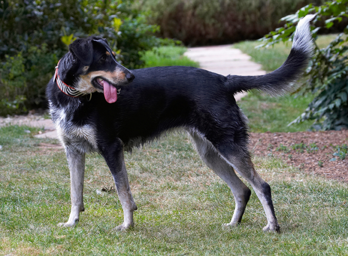 Where's that Alfie go to?