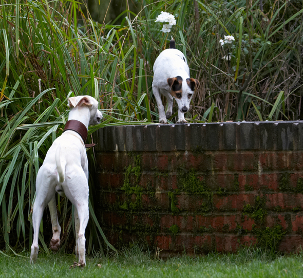Wot you doin' up there?