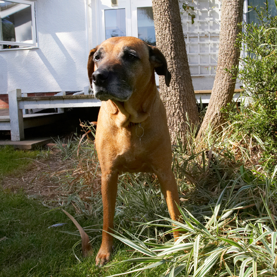 Wot we gonna do now?