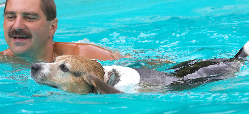 Look, I'm as sleek as a seal