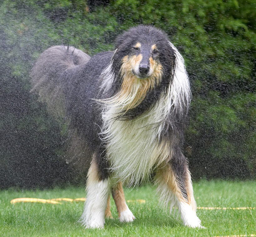 How d'ya expect me to catch a mist?!