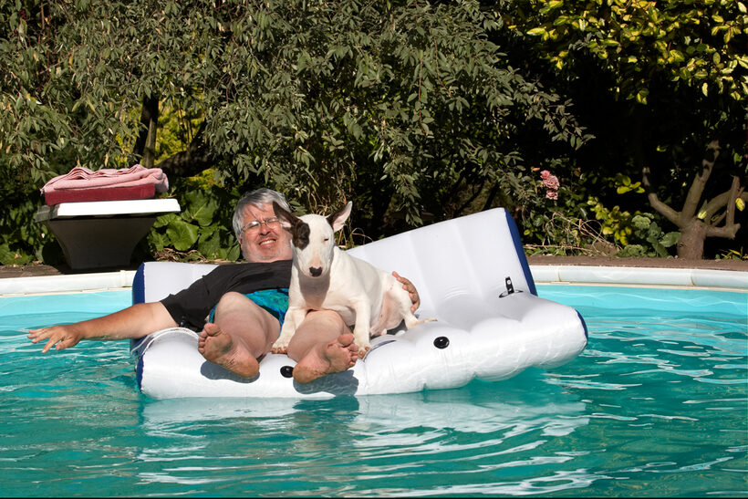 Canines, Play, Playing, Playtime, Pool, Swimming, Swimming pool, Terrestrial Mammal, Terrestrial Mammals, Animal, Animals, Bullies, Bully, Canine, Terriers, Craig, Dog, Dogs, English Bull Terrier, Land Mammal, Land Mammals, mana