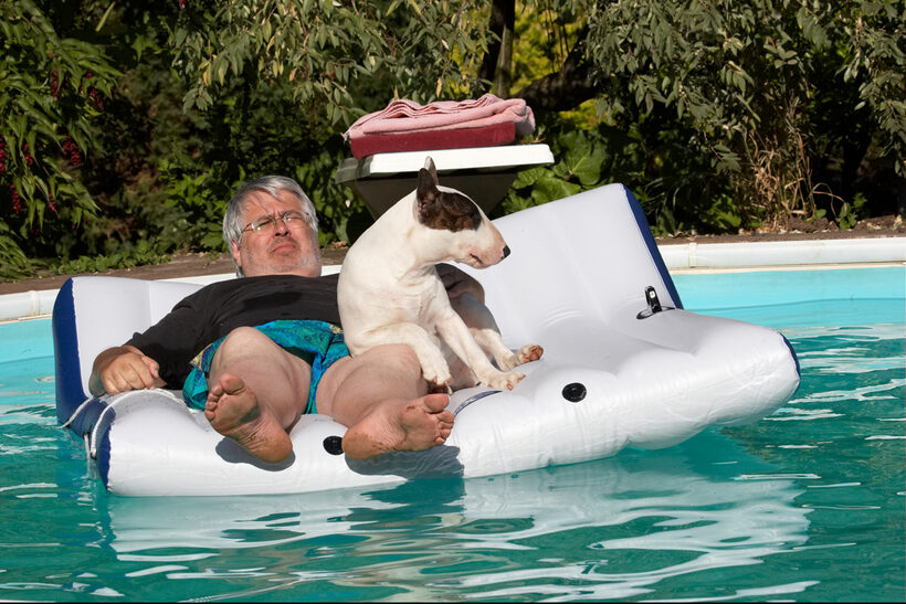 Canines, Play, Playing, Playtime, Pool, Swimming, Swimming pool, Terrestrial Mammal, Terrestrial Mammals, Animal, Animals, Bullies, Bully, Canine, Terriers, Craig, Dog, Dogs, English Bull Terrier, Land Mammal, Land Mammals, mana