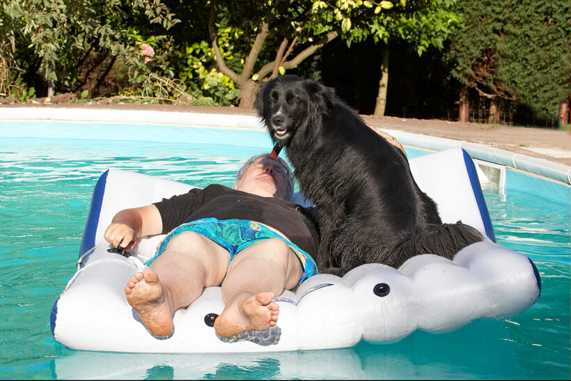 Animal, Animals, Barney, Canine, Canines, Collie, Collies, Craig, Dog, Dogs, Land Mammal, Land Mammals, Play, Playing, playtime, Pool, Swimming, Swimming pool, Terrestrial Mammal, Terrestrial Mammals