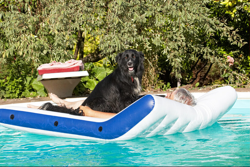 Animal, Animals, Barney, Canine, Canines, Collie, Collies, Craig, Dog, Dogs, Land Mammal, Land Mammals, Play, Playing, playtime, Pool, Swimming, Swimming pool, Terrestrial Mammal, Terrestrial Mammals